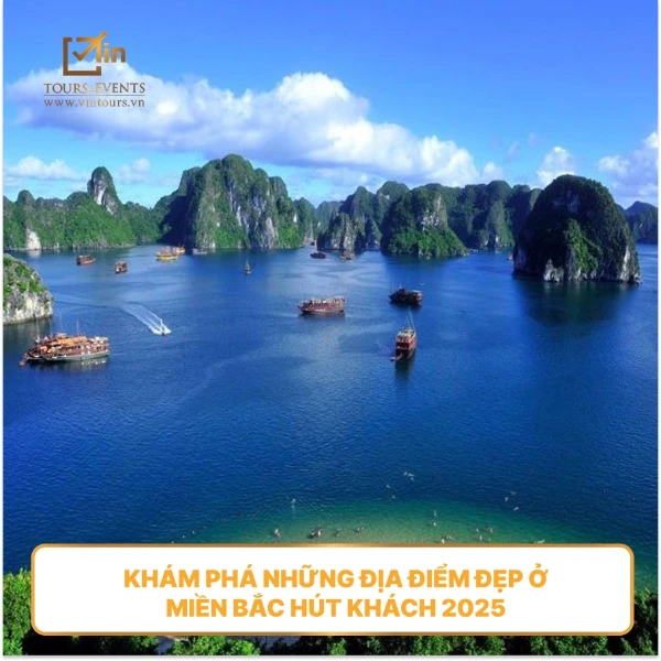 Có nên chọn tour đi nước ngoài giá rẻ? Cần lưu ý gì?