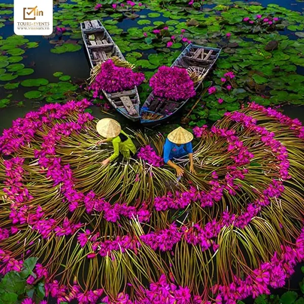 Tour du lịch d&agrave;nh cho gia đ&igrave;nh miền T&acirc;y s&ocirc;ng nước ng&agrave;y Tết