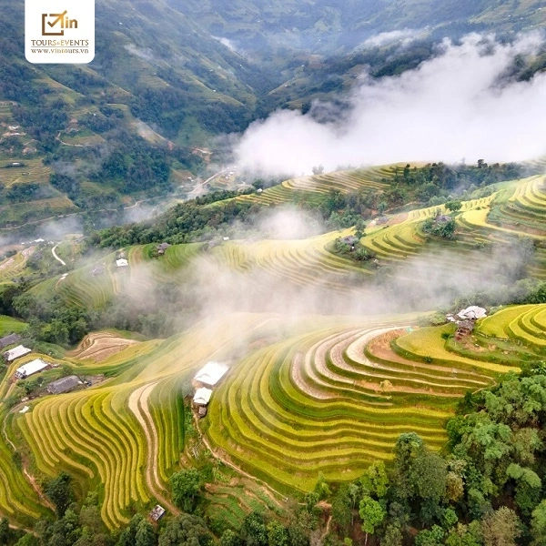  VIN Tours & Event luôn sẵn sàng hỗ trợ tận tình từ lúc đặt tour đến khi kết thúc hành trình. 