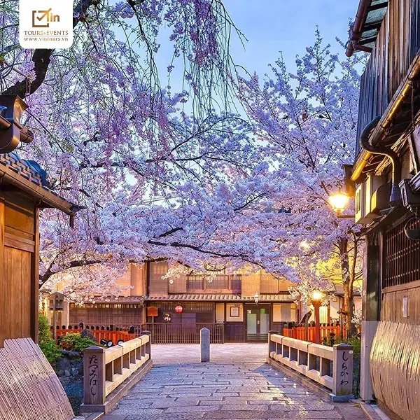 Đắm chìm vào vẻ đẹp của cầu Tatsumi nằm trong khu phố cổ Gion khi tham gia tour khám phá địa phương Kyoto