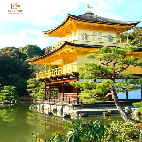 Tham gia tour khám phá địa phương để có cái nhìn sâu sắc hơn về lịch sử Nhật Bản
