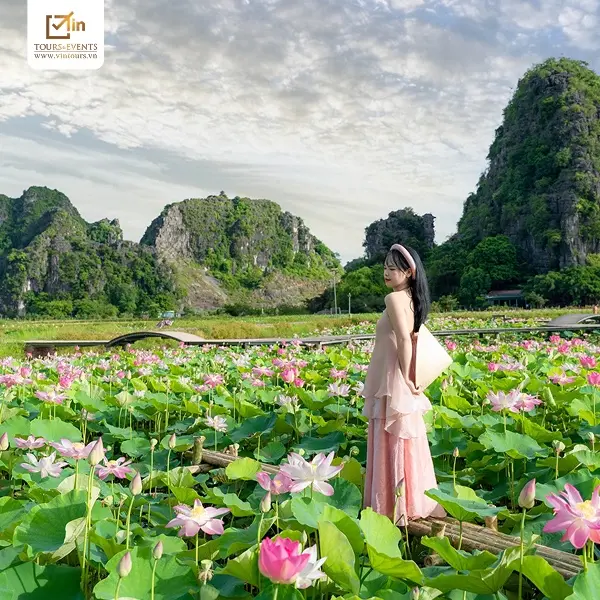 Tận hưởng không gian yên bình và thả mình vào thiên nhiên khi đi du lịch 1 mình