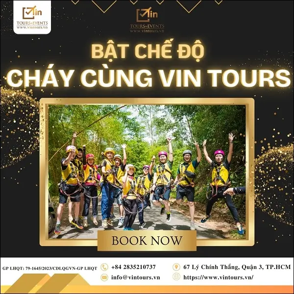  VIN Tours & Events đơn vị cung cấp các tour trọn gói chất lượng cao