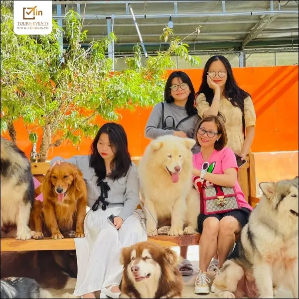 Đà Lạt là điểm đến lý tưởng của tour du lịch hè cho gia đình có con nhỏ