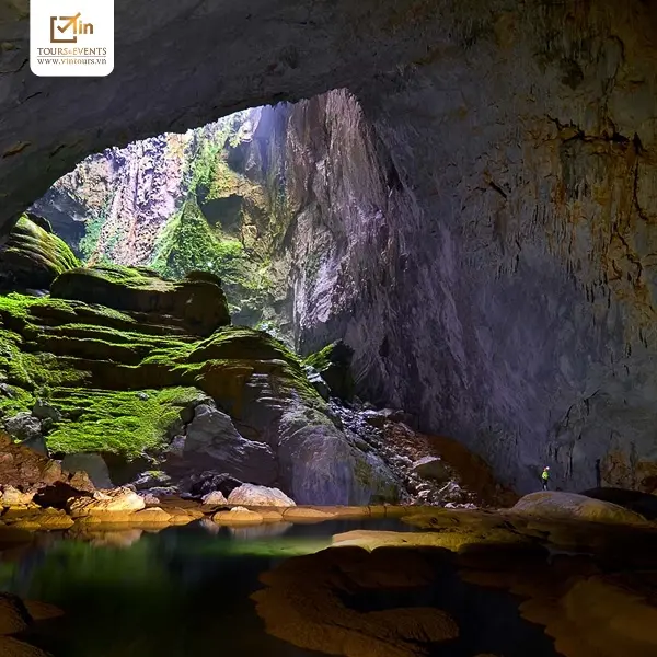 VIN Tours & Events đơn vị chuyên tổ chức tour dành cho người cao tuổi