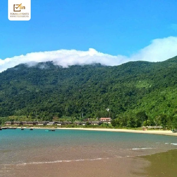 B&aacute;n đảo Sơn Tr&agrave;  l&agrave; địa điểm đẹp với hệ sinh th&aacute;i rừng v&agrave; biển đa dạng
